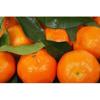 Clementina Orri Vit&Fruit - Caja 6 Kgs. Mandarinas Vit&Fruit