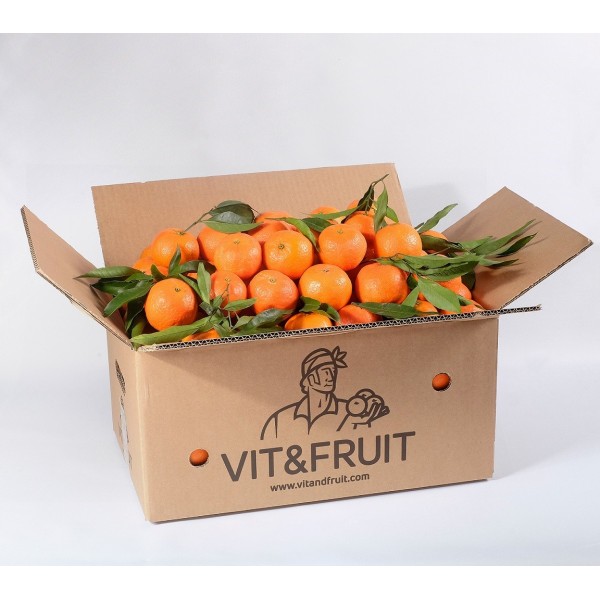 Clementina Orri Vit&Fruit - Caja 6 Kgs. Mandarinas Vit&Fruit