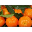 Comprar Clemenules - Caja 10 Kgs. Mandarinas Vit&Fruit