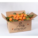 Comprar Clementinas Online - Caja 10 Kgs. Mandarinas Vit&Fruit