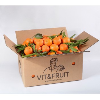 Caja Mixta Clementina 5 kgs + Naranjas 5 kgs Vit&Fruit. Naranjas Vit&Fruit