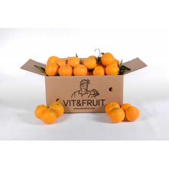Naranjas Vit&Fruit - Caja 8 Kgs. Zumo Naranjas Vit&Fruit