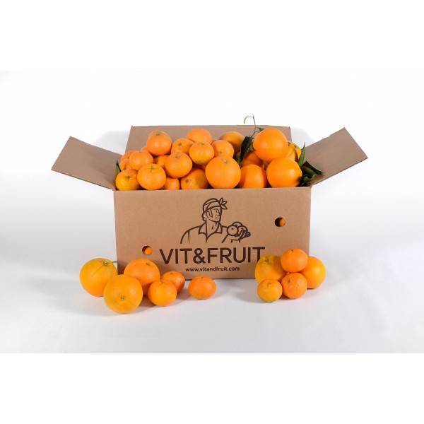 Caja Mixta Clementina 5 kgs + Naranjas 5 kgs Vit&Fruit. Mandarinas Vit&Fruit Caja Mixta Clementina 5 kgs + Naranjas 5 kgs Vit&Fruit. Mandarinas Vit&Fruit